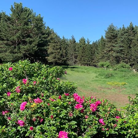Gite Ranch Le Serpolet Les Angles  Esterno foto