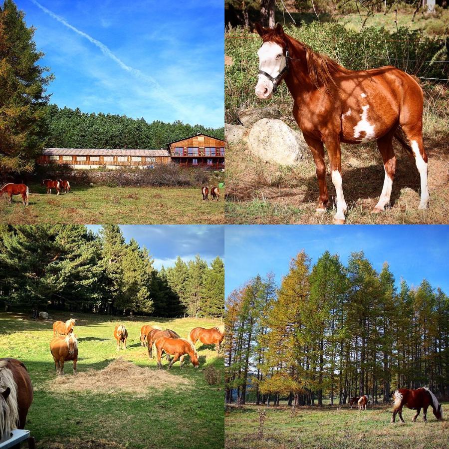 Gite Ranch Le Serpolet Les Angles  Esterno foto