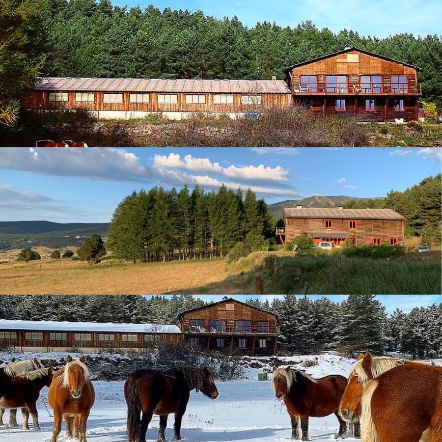 Gite Ranch Le Serpolet Les Angles  Esterno foto