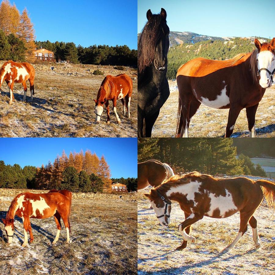 Gite Ranch Le Serpolet Les Angles  Esterno foto