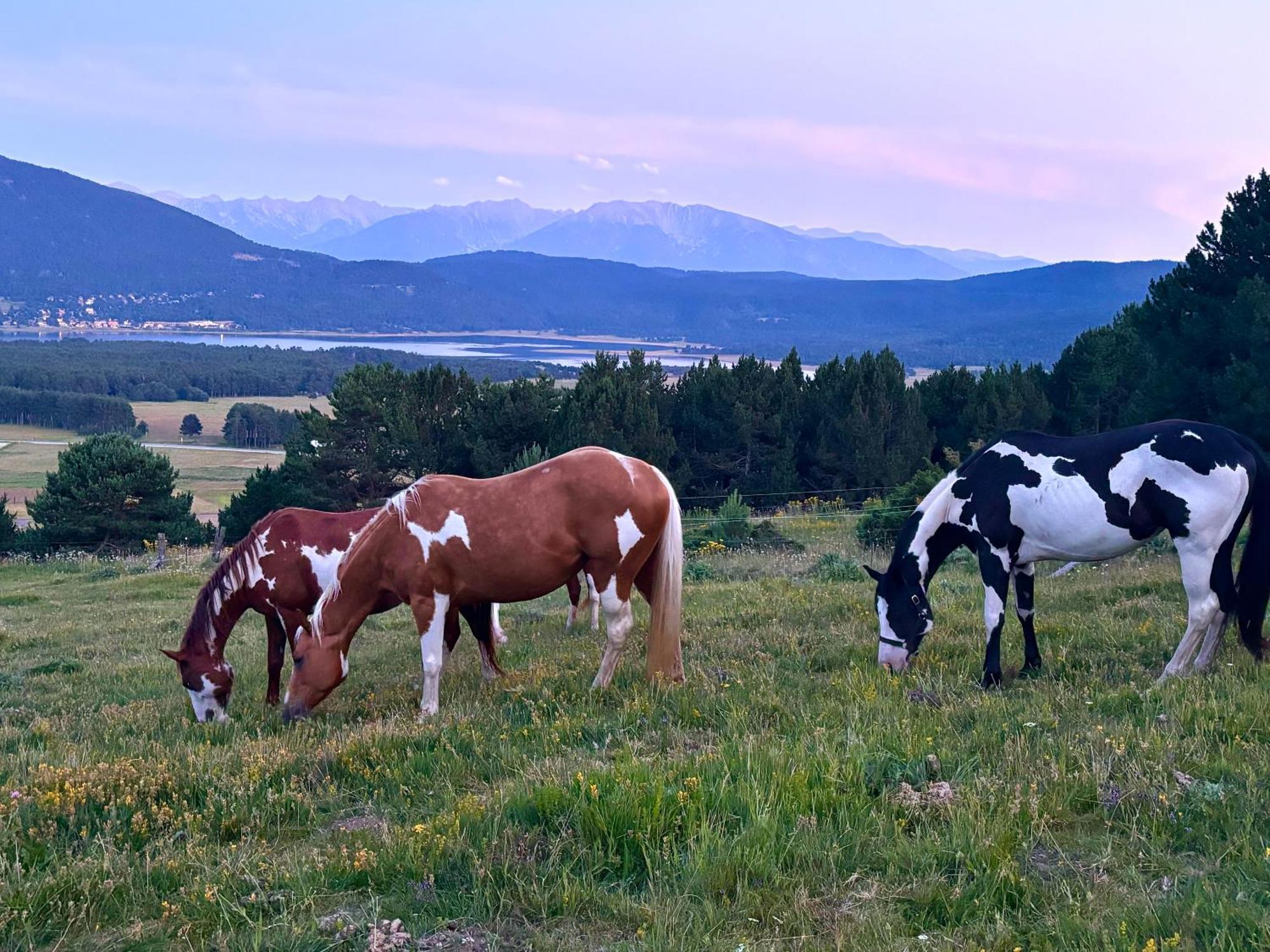 Gite Ranch Le Serpolet Les Angles  Esterno foto